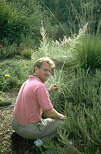 Image of Muhlenbergia pubescens