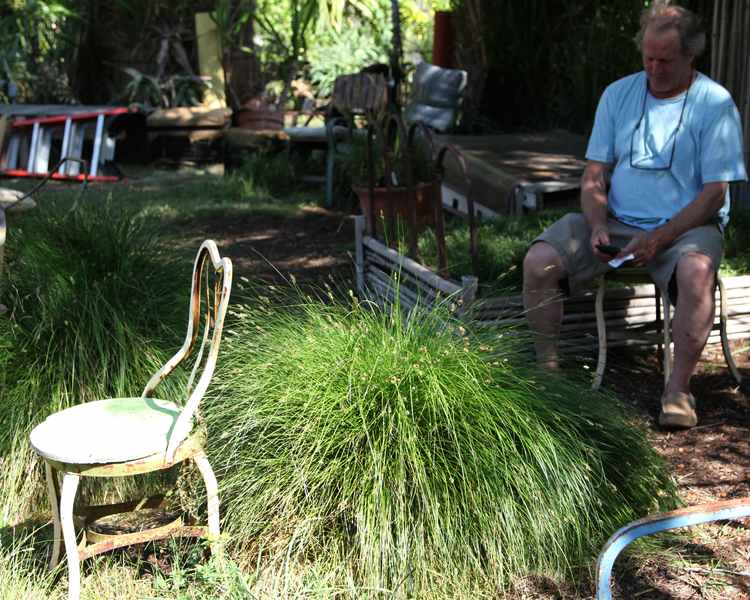 Image of Carex 'Pomona'