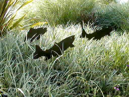 Image of Liriope spicata 'Silver Dragon'