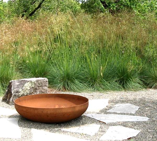 Image of Stipa gigantea